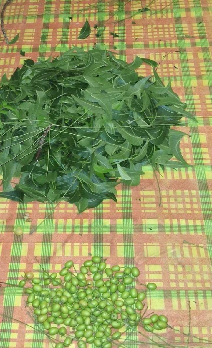 Produits agricoles Guadeloupe